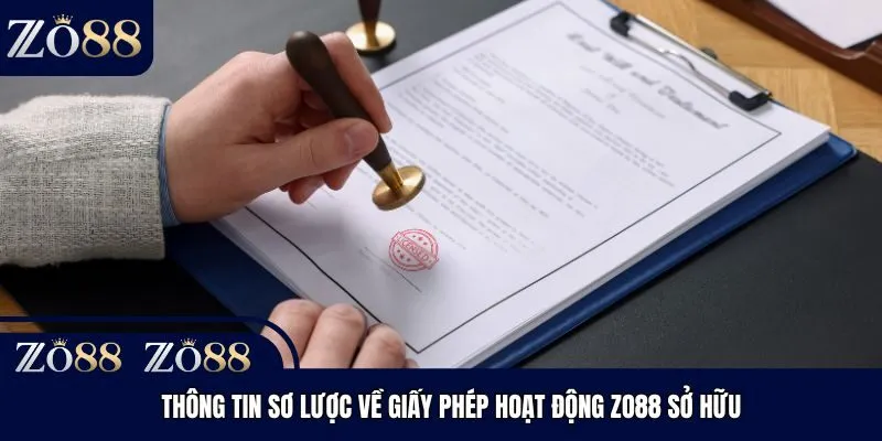Thông tin sơ lược về giấy phép hoạt động Zo88 sở hữu