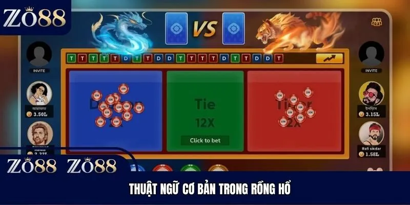 Thuật ngữ cơ bản trong Rồng Hổ