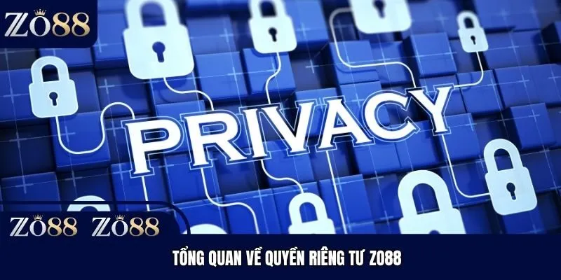 Tổng quan về quyền riêng tư Zo88